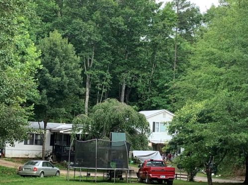 29 Wilkie Rd, Ball Ground, GA 30107-5524