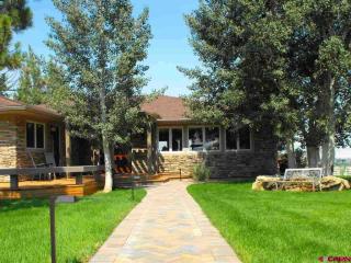 59225 Spring Creek Rd, Montrose CO  81403-7914 exterior
