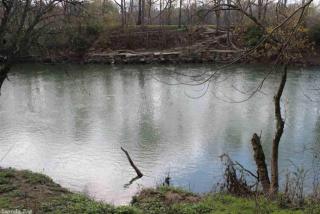 23 Raintree Valley Rd, Dewey, AR 72121-8835