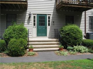 54 Village Walk, Wilton, CT 06897-4043