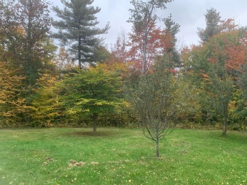 23 Flagg Rd, Marlow, NH 03456-6000