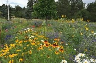 971 White Tail Dr, Franktown, CO 80116-8833