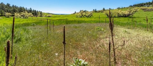 8336 Old San Isabel Rd, Greenwood CO 81069-8605 exterior