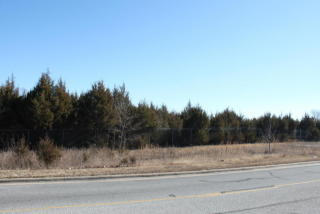 350 Gretna Rd, Branson, MO 65616-3587