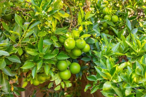 2690 Elizondo Ave, Simi Valley CA 93065-4615 exterior