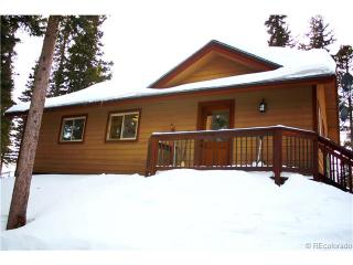 410 Bobcat Ln, Guffey, CO 80820-8809