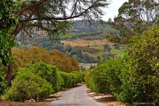 31601 Wrightwood Rd, Bonsall, CA 92003-4709