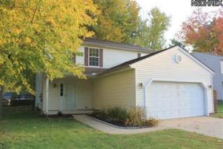 172 Michael Ct, Concord Township, OH 44077-2563