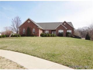 1303 Palmer Creek Dr, Columbia, IL 62236-2744