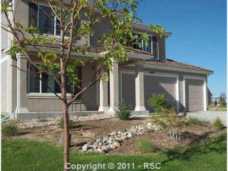 10932 Cascading Spring Cir, Amo, CO 80831-5034