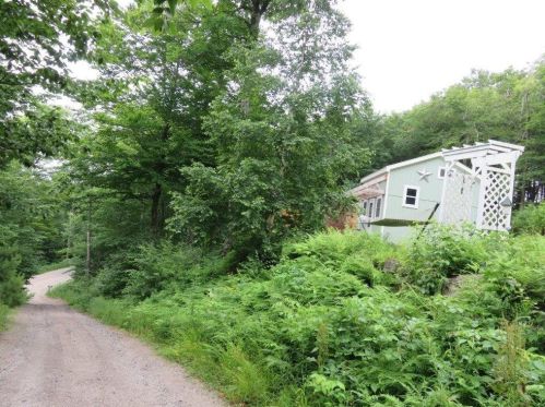 325 Kinsman Rd, Grafton, NH 03240-3612