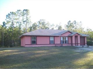 255 Old Bubbly Rd, Pierson, FL 32180-2278