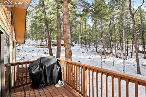 84 Pne Ln, Woodland Park CO 80863-9535 exterior