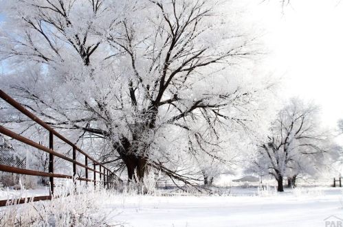 706 Avondale Blvd, Avondale CO 81022-8702 exterior