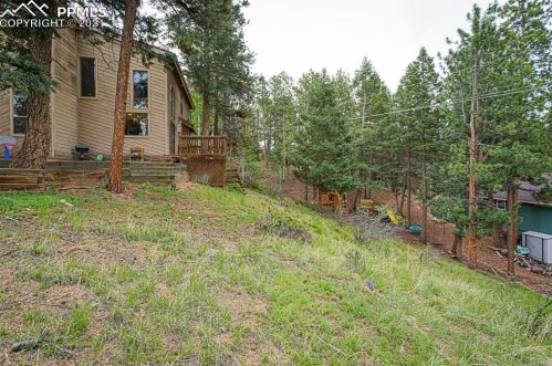 2730 Sunnywood Ave, Woodland Park CO  80863-9401 exterior
