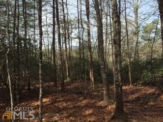3 Morningstar Ln, Dahlonega, GA 30533