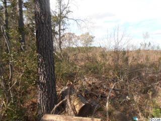 10 Deas Hill Rd, Mcclellanville, SC 29458