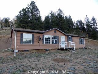 82 Pika Creek Trl, Twin Rock, CO 80816-7063
