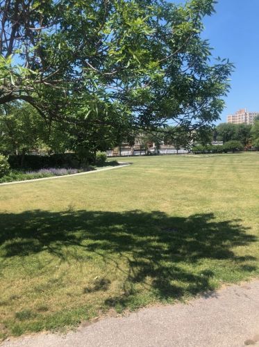 928 Eastwood Ave, Chicago IL  60640-7987 exterior