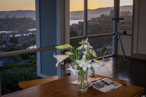 349 Ridge Rd, Tiburon, CA 94920-1811