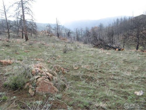 1400 Meadow Mountain Dr, Red Feather Lakes, CO