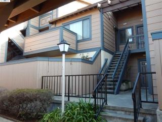 279 Hackamore Cmn, Fremont, CA 94539-7479
