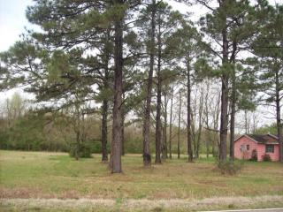 15587 Hubbs Rd, Pride, LA 70770-9714