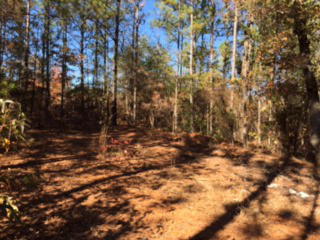 1495 Laurel Branch Church Rd, Mc Intyre, GA 31054-2475