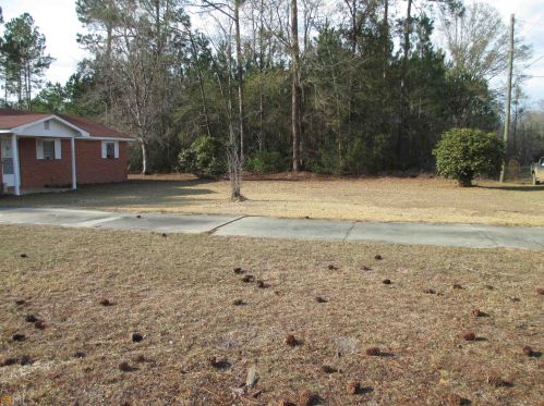 638 Beach Rd, Baxley, GA 31513-8790