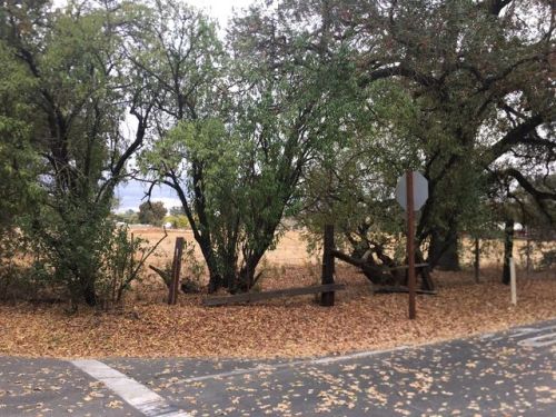 9200 Golden Gate Ave, Citrus Heights, CA 95662-2222