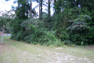 1544 Fort Argyle Rd, Savannah, GA 31419-9256