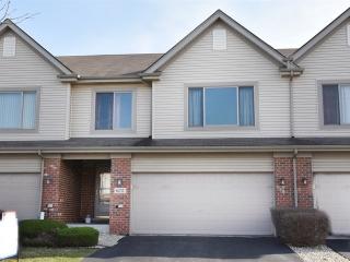 8257 Auburn Ln, Frankfort, IL 60423-1717