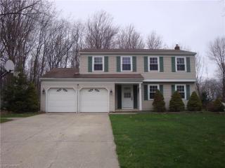 9740 Ridgeview Trl, Concord Township, OH 44060-7429