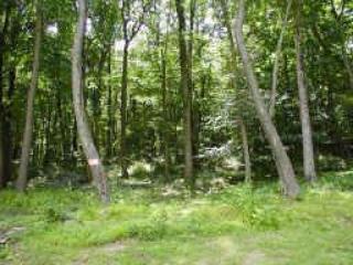 8 Pine Ridge Rd, Califon, NJ 07830-4100