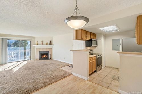 10313 Peakview Ave, Englewood, CO 80111-6133