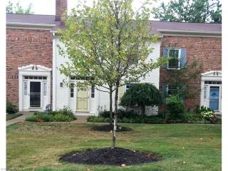 1021 Trevitt Cir, Cleveland OH 44143-2426 exterior