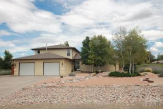 312 Souchak Ct, Pueblo, CO 81007-2800