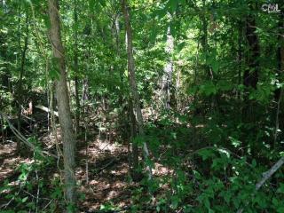 429 Smallwood Dr, Lake Murray, SC 29036-8187