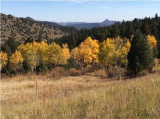 14745 Wetterhorn Peak Trl, Pine, CO 80470-9142