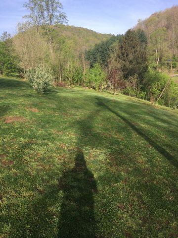 30 Gabe Rd, Clio, WV 25045-9133