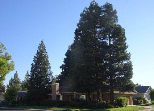 195 Bighorn Ct, Vacaville CA  95687-3438 exterior
