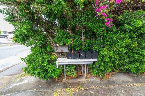 808 Makaleka Ave, Honolulu HI  96816-6033 exterior