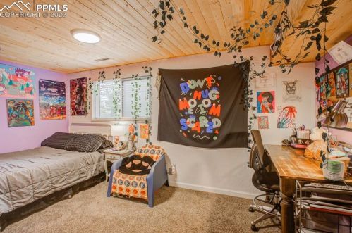 411 Evergreen Cir, Woodland Park CO 80863-2393 exterior