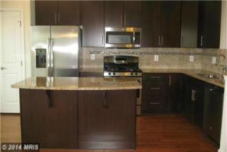 42612 Freistadt Sq, Dulles VA  20166-2610 exterior