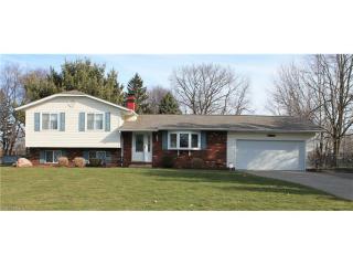 1197 Foxfire Dr, Concord Township, OH 44077-5273