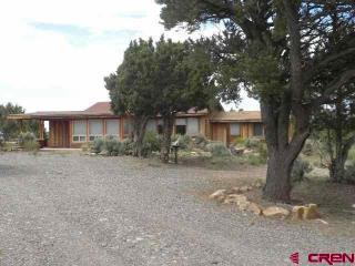 493 Tiyoweh Trl, Montrose CO  81403-9573 exterior