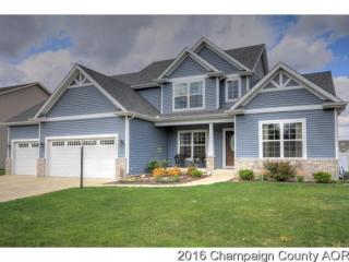204 Campbell St, Tolono, IL 61880-8339