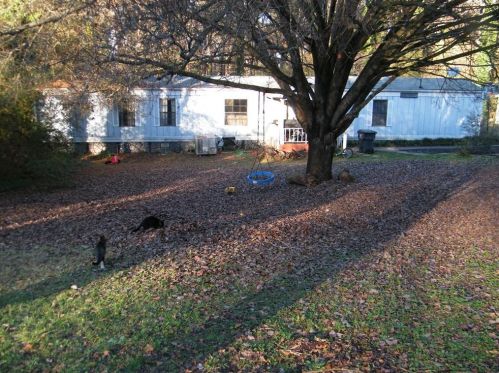 150 Knottingham Ct, Stockbridge, GA 30281-3102