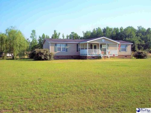 2136 Antioch Church Rd, Sellers, SC 29592-7014