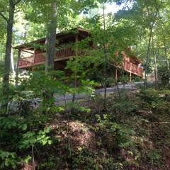 951 Emilyville Way, Cosby, TN 37722-2175
